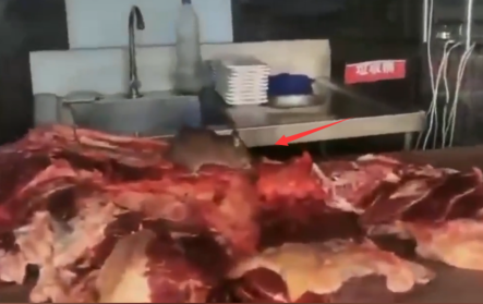 一火锅店现老鼠啃食生牛肉，食品出现隐患
